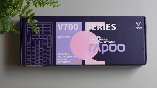 V700 DIY-98键盘不后悔新葡京娱乐这么劲、那么美选雷柏(图28)